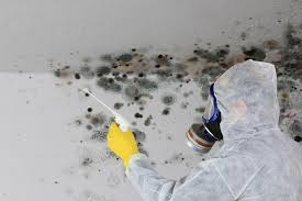 Best Crawl Space Mold Remediation  in Lititz, PA